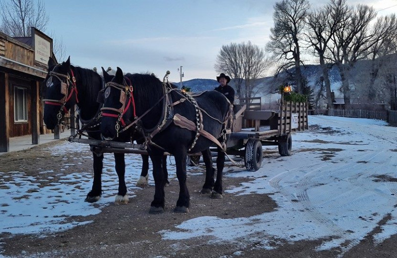 Holiday wagon at Vee Bar Guest Ranch.