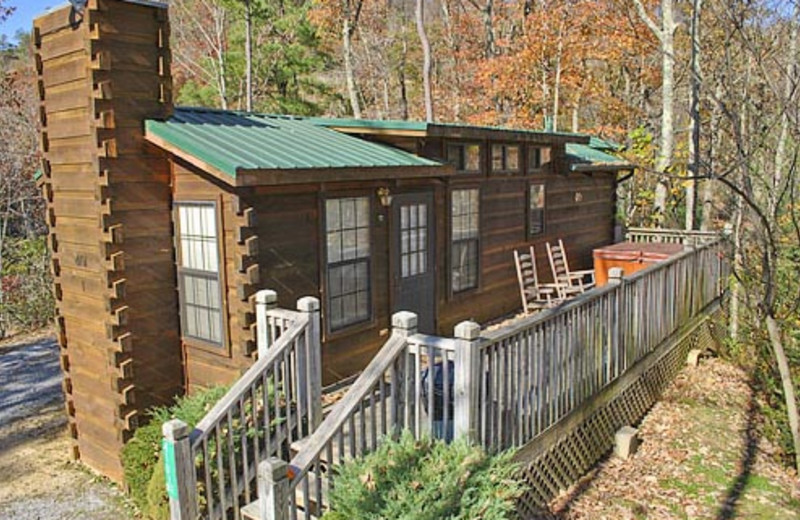 Vacation Rental at Volunteer Cabin Rentals