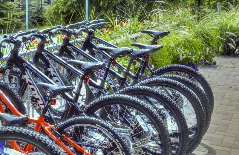 Bikes at Tunnel Mountain Resort