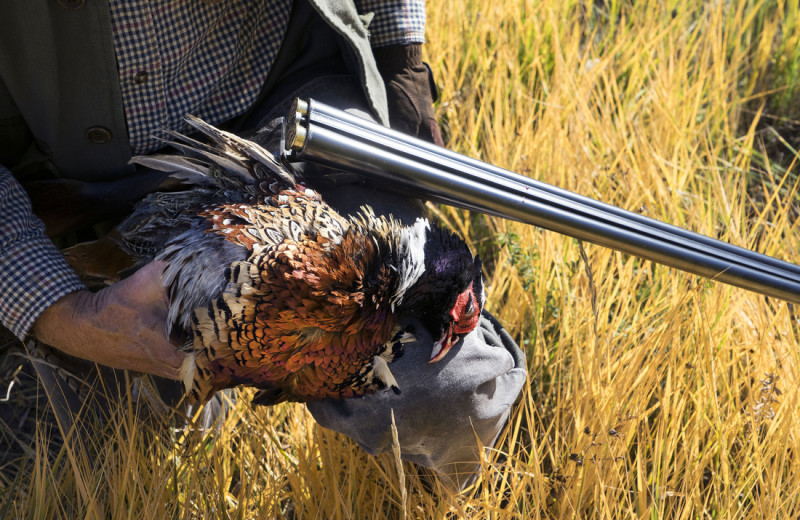 Hunting at Castle Valley Outdoors.