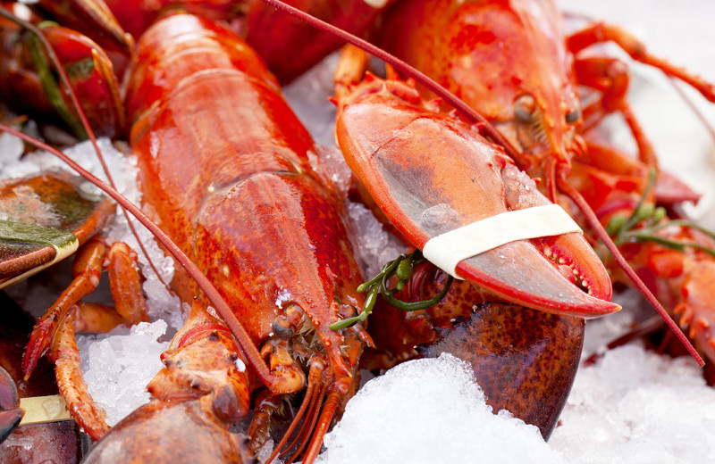 Lobster near 250 Main Hotel.
