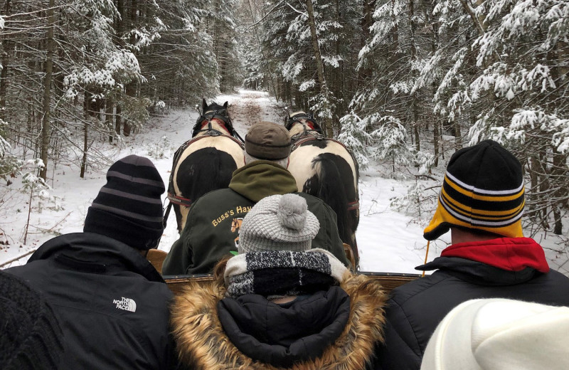 Sleigh rides at Northernaire Resort.