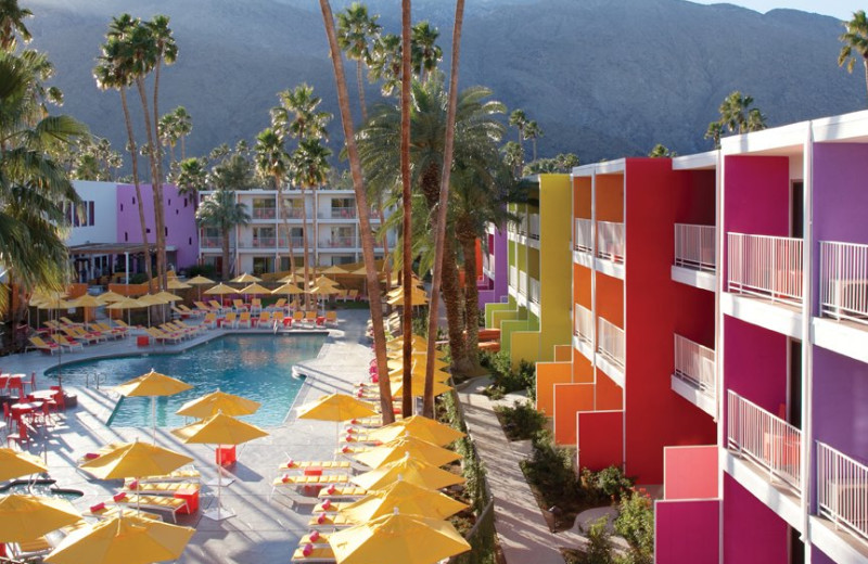 Outdoor pool at The Saguaro Palm Springs.