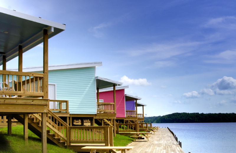 Cabins at D'Arbonne Pointe.