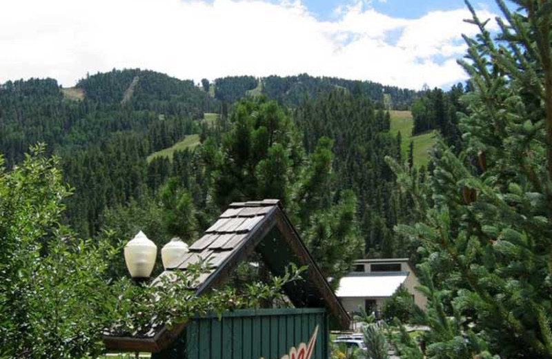 Ponderosa Lodge (Red River, NM) Resort Reviews