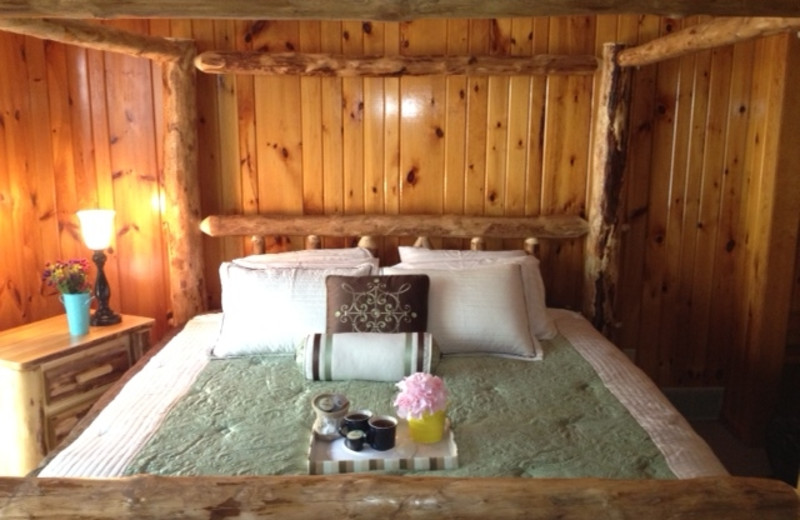 Timber Wolf Lodge (Ely, MN) Resort Reviews