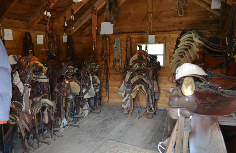 Horse saddles at Shoshone Lodge & Guest Ranch.