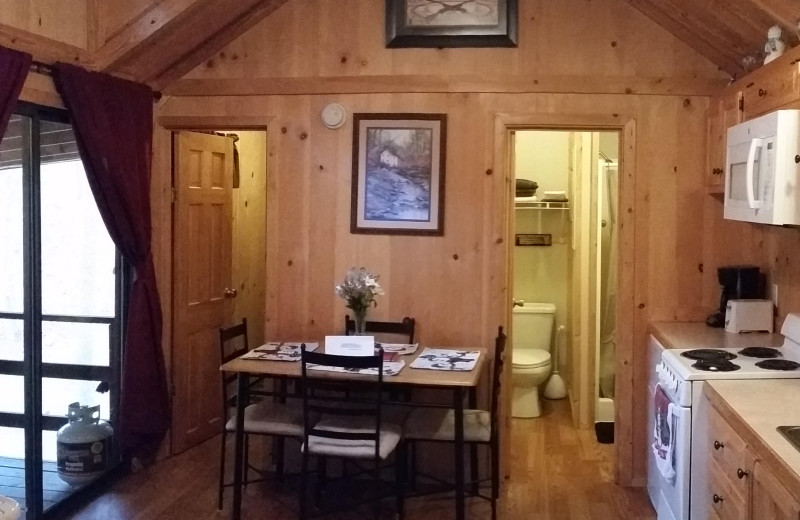 Cabin kitchen at Hocking Hills Backwoods Retreat.