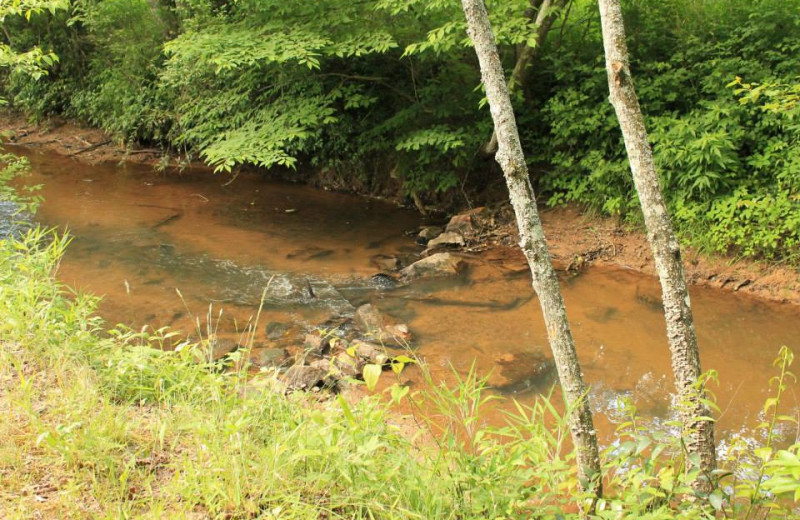 Stream at Mountain Rest Cabins and Campground.