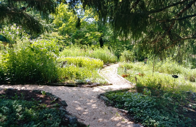 Garden at Highlawn Inn.