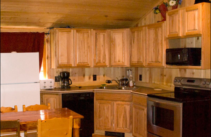 Cabin kitchen at Shoshone Lodge & Guest Ranch.