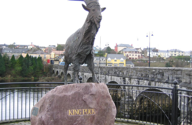 Ireland's oldest festival The Puck Fair near The Hollies.