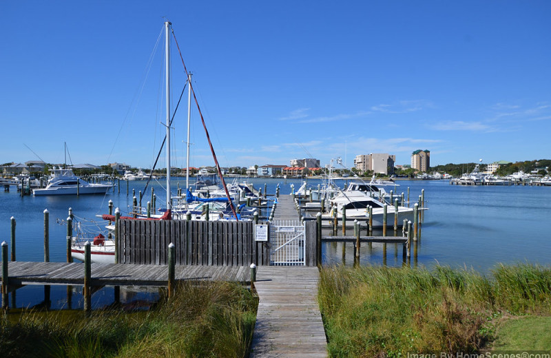 Marina at Sandpiper Cove.