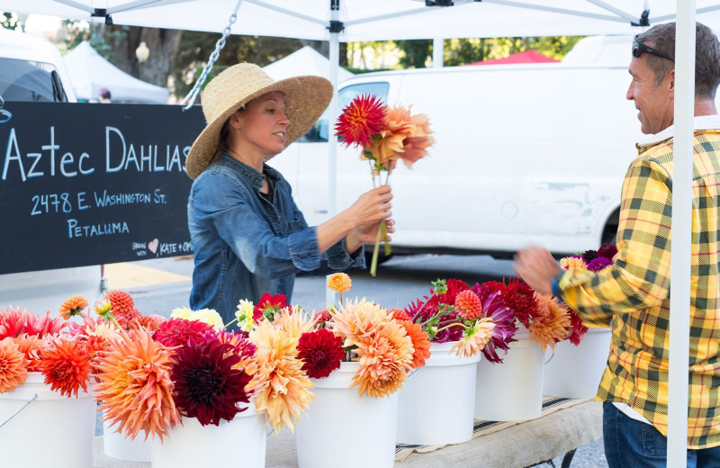 Farmers market at Woodfield Properties.
