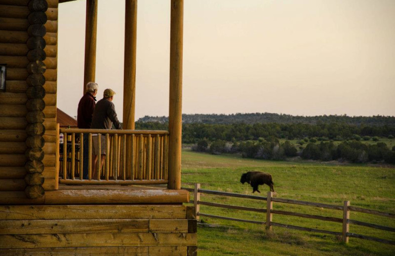 Ranch view at Zion Mountain Ranch.