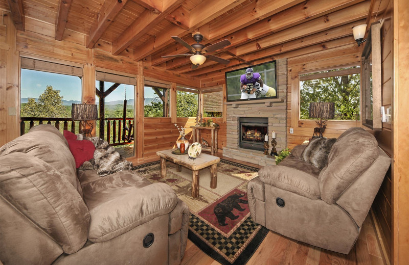 Cabin living room at Outrageous Cabins LLC.