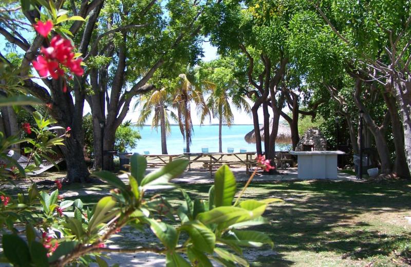 Beach view at Rock Reef Resort.