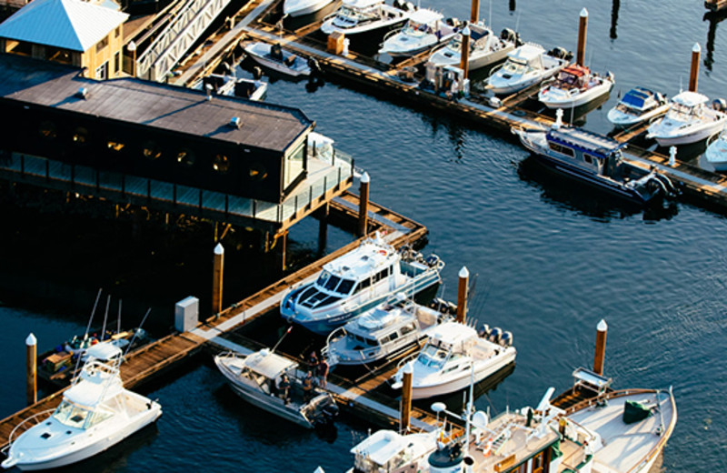 Tofino Resort & Marina