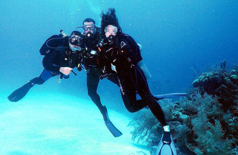 Diving at Belize Beach Suites on Ambergris Caye.