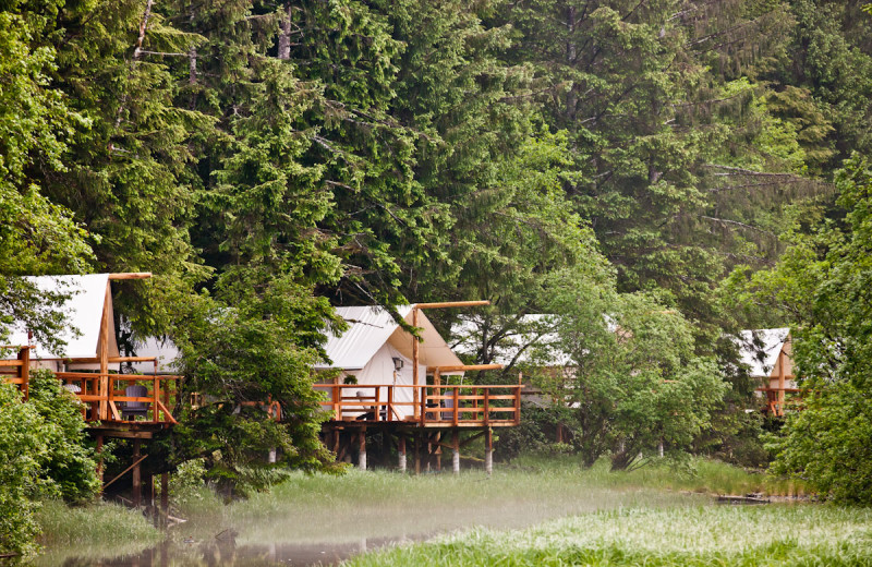 Exterior view of Clayoquot Wilderness Resort.