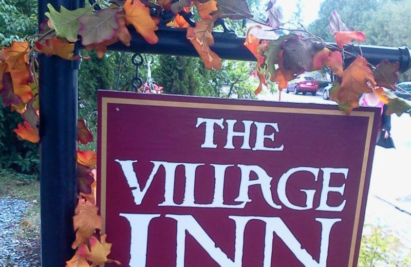 The Village Inn sign.