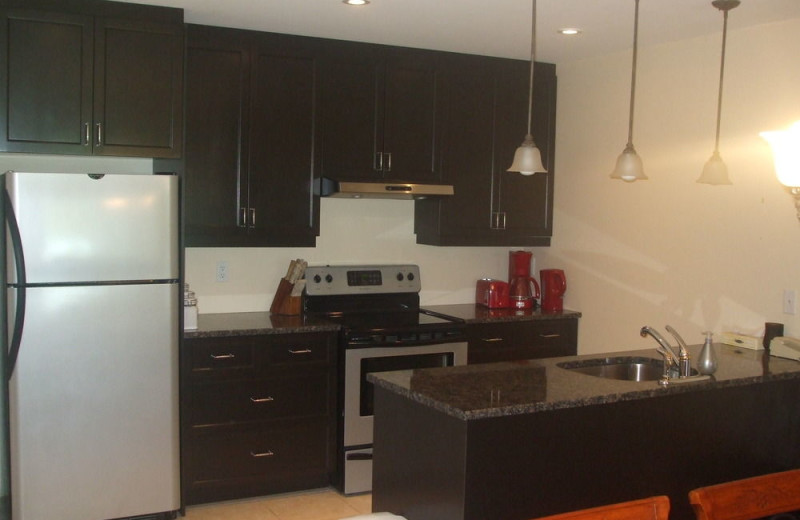 Guest kitchen at Au Domaine des Neiges.