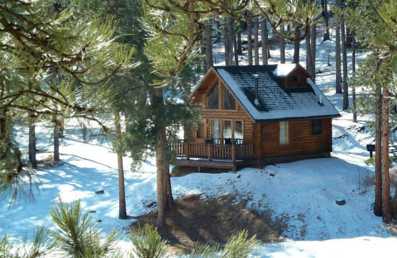 Cabin exterior at Newton Fork Ranch.