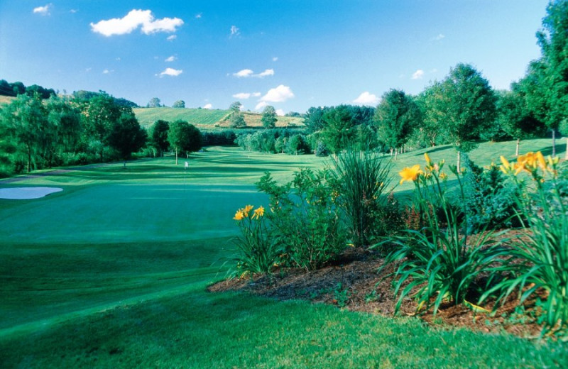 Golf course at Jefferson Landing.