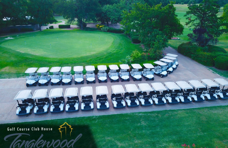 Golf carts at Tanglewood Resort and Conference Center.