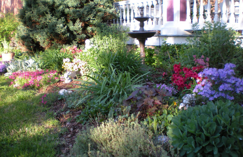 Garden at Belle Hearth Bed 