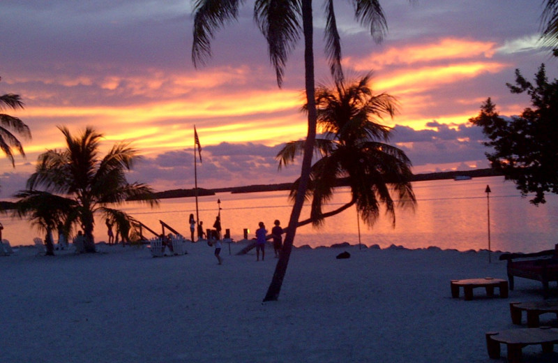 Sunset on the beach at Hampton Inn & Suites Islamorada.