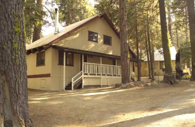 Cabin exterior view at Tahoma Lodge.