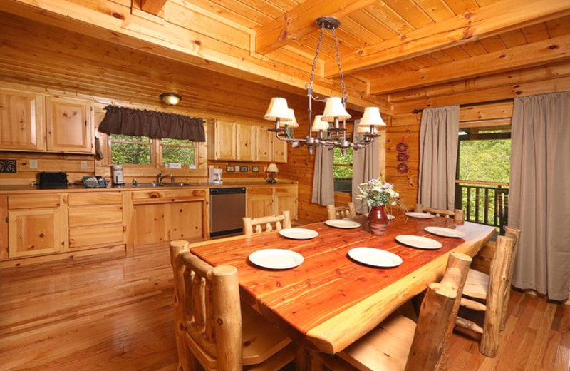 Cabin kitchen at Little Valley Mountain Resort.