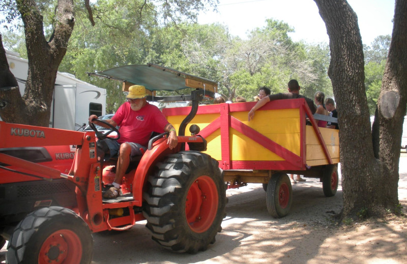 Tractor at Lone Star Jellystone.