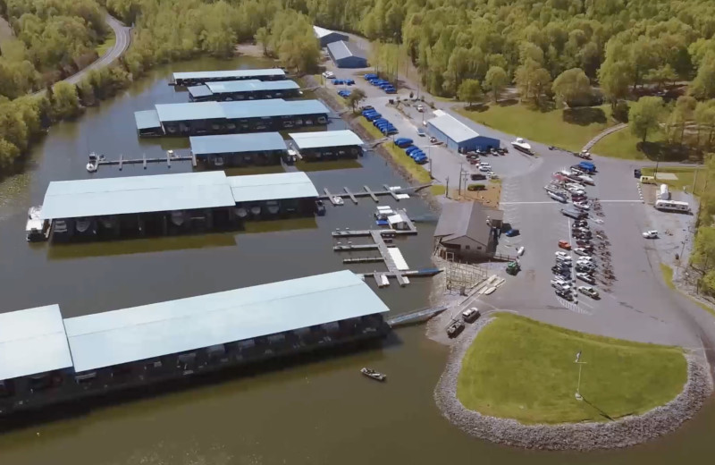 Aerial view of Eddy Creek Marina Resort.