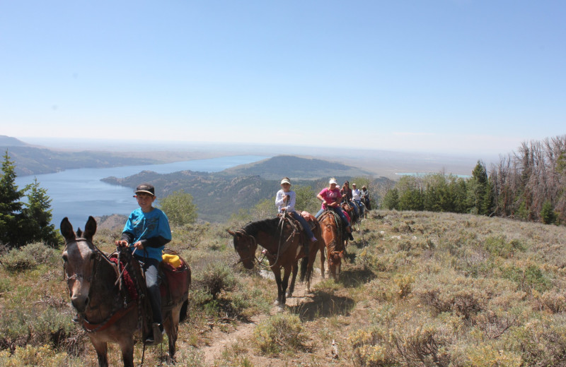 Horseback riding at Mule Shoe Outfitters.