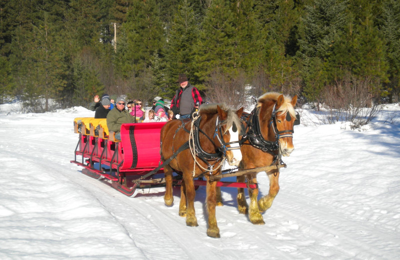 Sleigh ride at Mountain Springs Lodge.