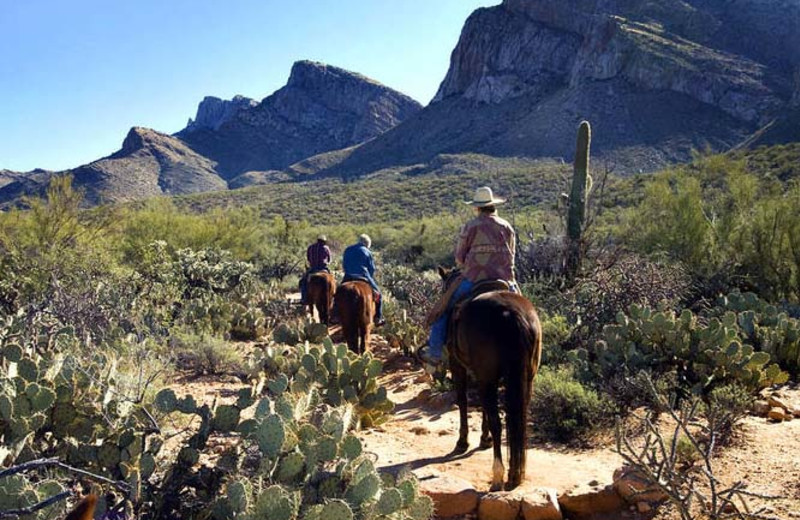 Horseback riding at Hilton Tucson El Conquistador Golf & Tennis Resort.
