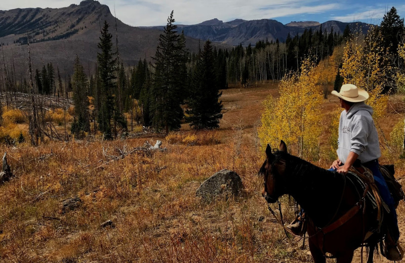 Horseback riding at Trappers Lake Lodge & Resort