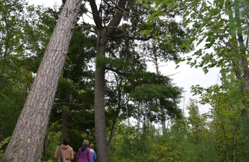 Hiking at White Eagle Resort.