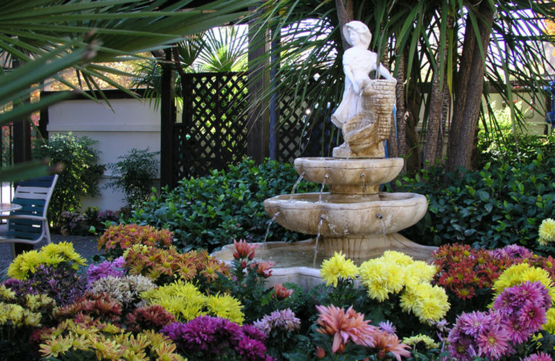 Fountain view at Roman Spa Hot Springs Resort.