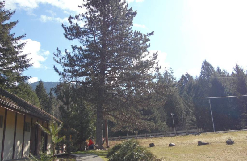 Exterior view of Packwood Lodge.