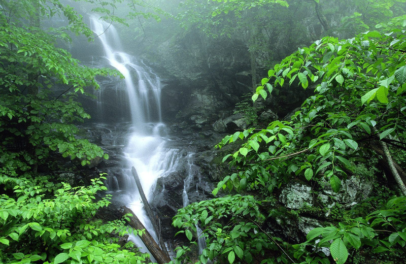 Lower Doyles River waterfall near Best Western PLUS Oceanfront Virginia Beach.