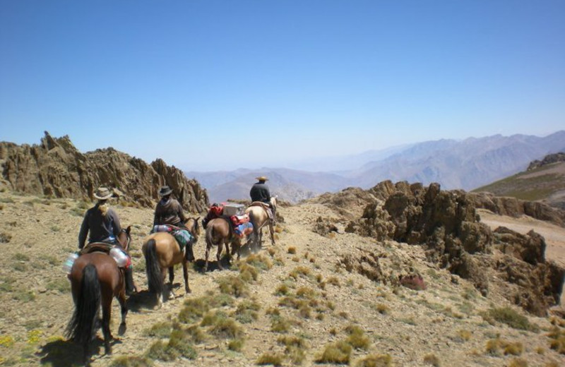 Horseback riding at Hacienda Los Andes.