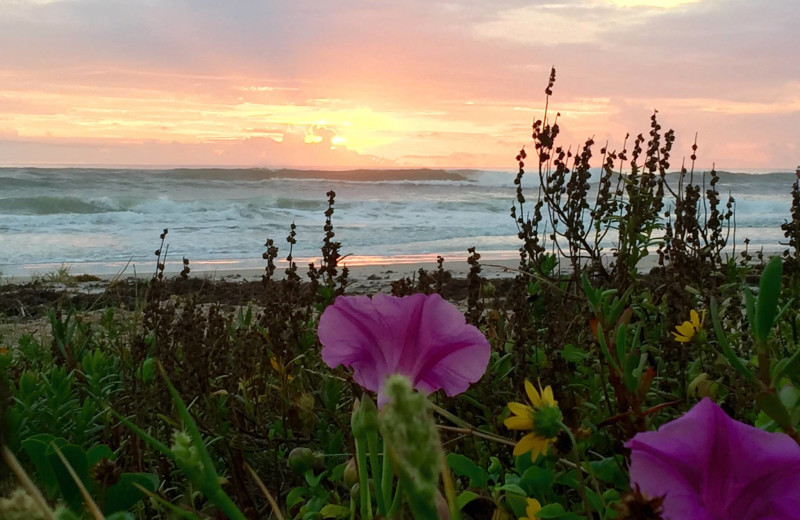 Sunrise at Coral Sands Oceanfront Resort.