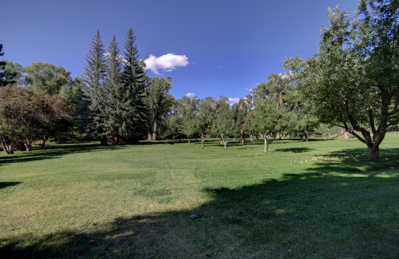 Grounds at River Orchard Place.