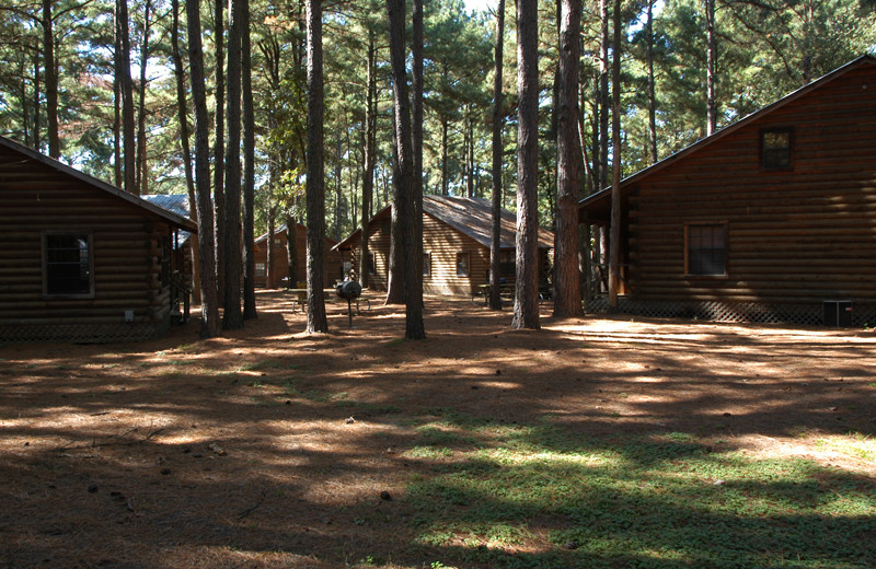 Cabins at Lake O' The Woods.