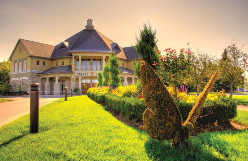 Winery near Vine Ridge Resort.