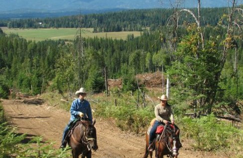 Horseback riding at Western Pleasure Guest Ranch.