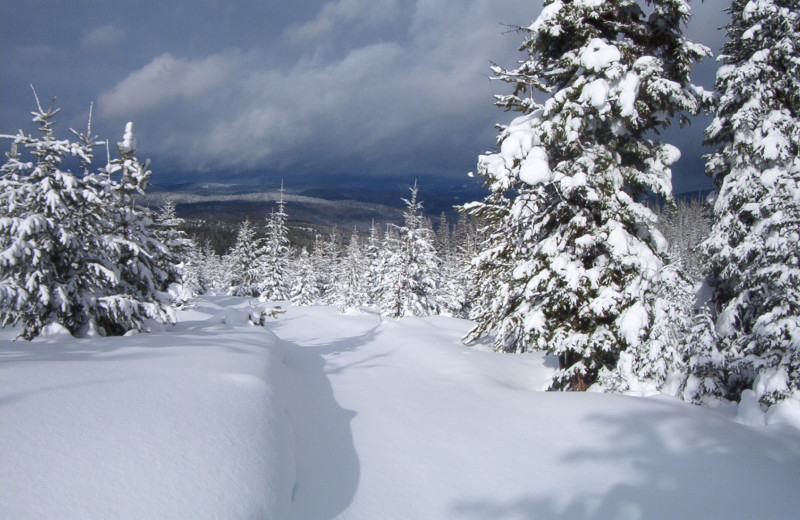 Winter time at Silver Spur Outfitters.